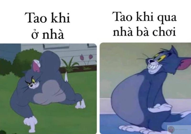 Tom đánh rơi Jerry, còn tao đánh rơi deadline