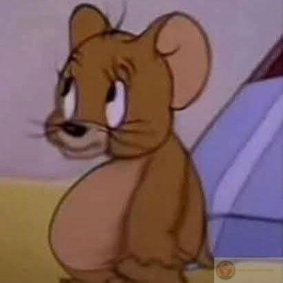 Jerry luôn thắng mà không cần đánh