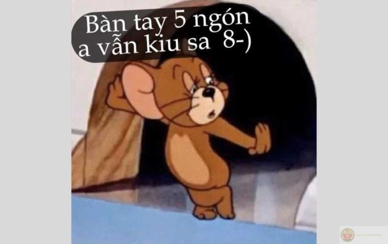 Jerry có gì mà tự tin thế, tao cũng không biết nữa