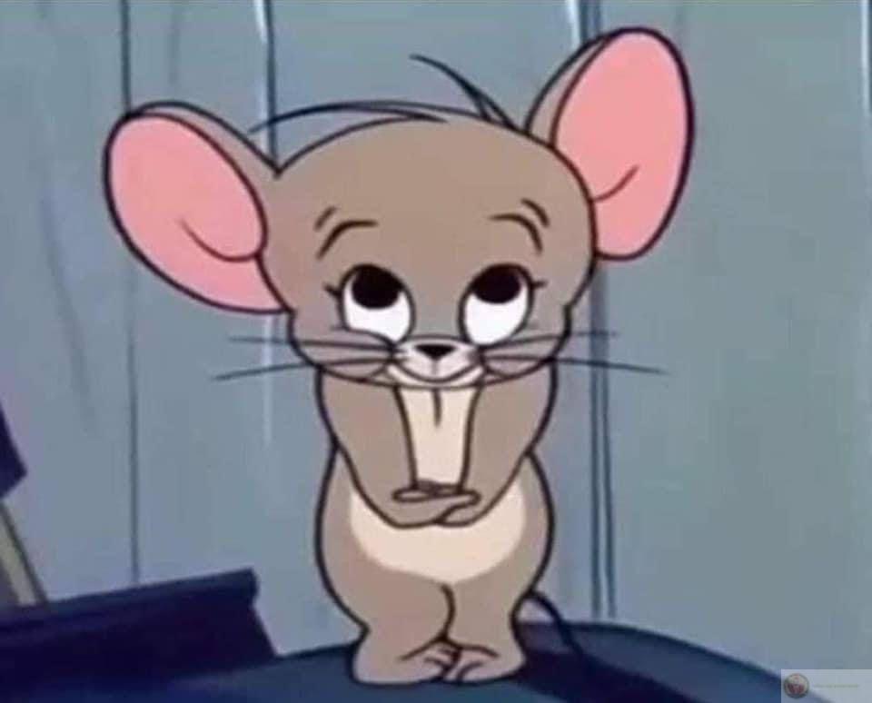 Jerry nhìn dễ thương nhưng cực kỳ nguy hiểm