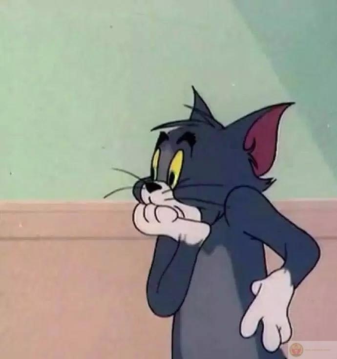 Tao định làm việc nghiêm túc, rồi thấy mày