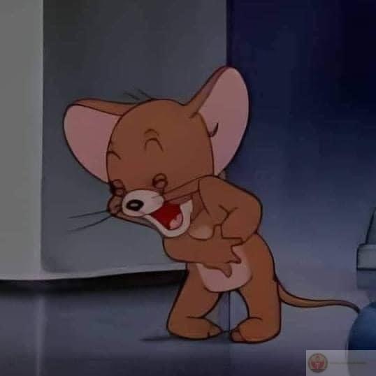 Sống như Jerry - không cao nhưng luôn trên cơ