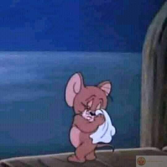 Thấy Jerry là thấy bất ổn