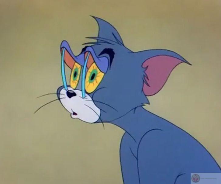 Thế giới cần một trái tim như Tom