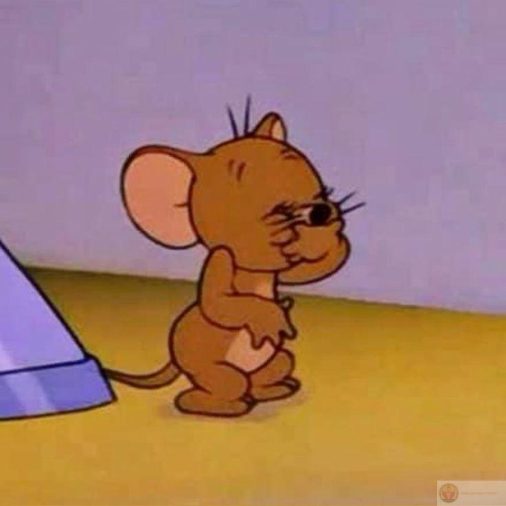 Tình bạn đẹp là phải như Tom với Jerry