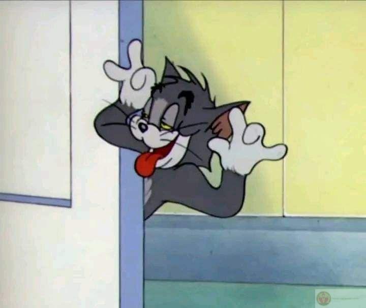 Tom chạy vì yêu, chứ không phải vì sợ