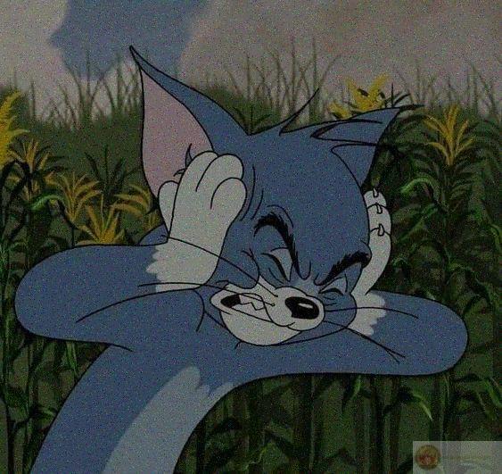 Tom chính là biểu tượng của cố gắng vô vọng