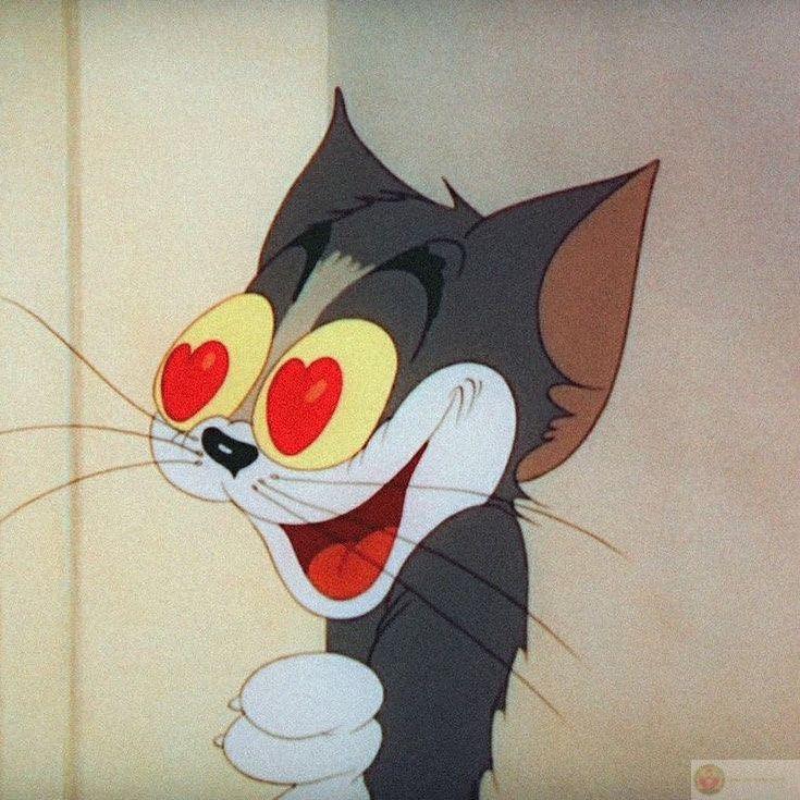 Tom đâu có ngốc, chỉ là thương nhiều quá