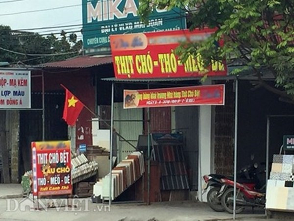 Lạnh người xem mèo bị dìm chết, xẻ thịt ở Thái Bình ảnh 2
