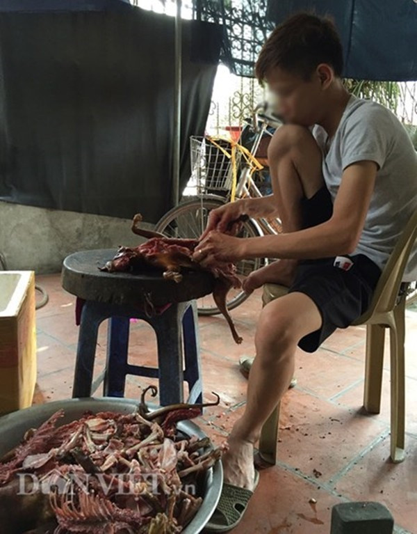 Lạnh người xem mèo bị dìm chết, xẻ thịt ở Thái Bình ảnh 4