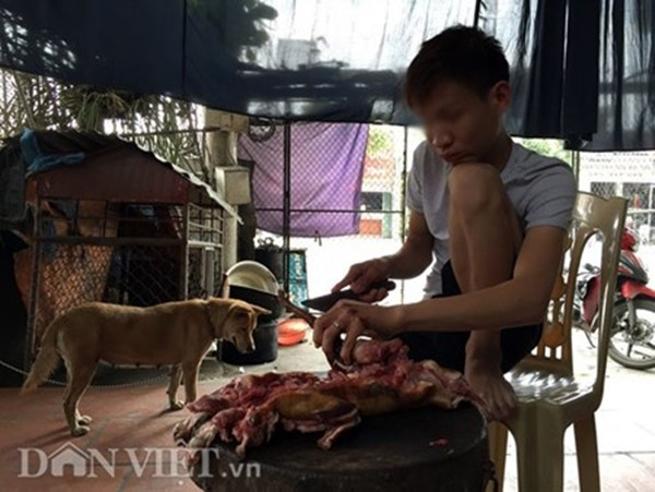 Lạnh người xem mèo bị dìm chết, xẻ thịt ở Thái Bình ảnh 8