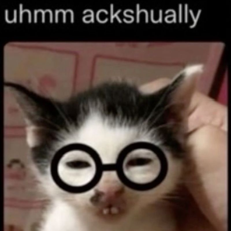 meme mèo trí thức