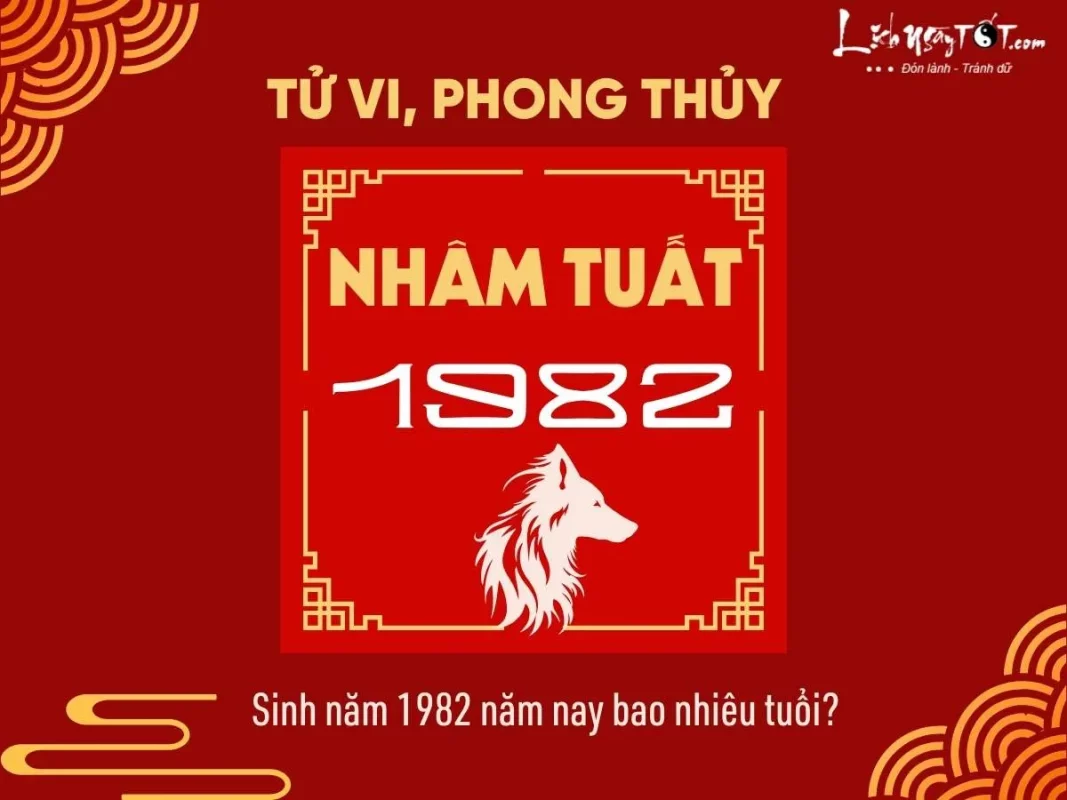 Sinh Năm 1982 Bao Nhiêu Tuổi Trong Năm 2025? Khám Phá Vận Mệnh Nhâm Tuất