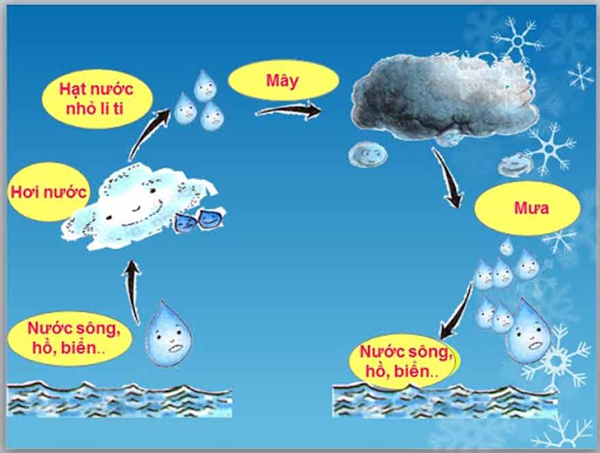 vòng tuần hoàn của phân tử nước