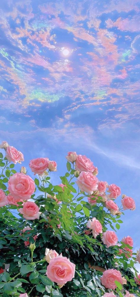anh-chill-14