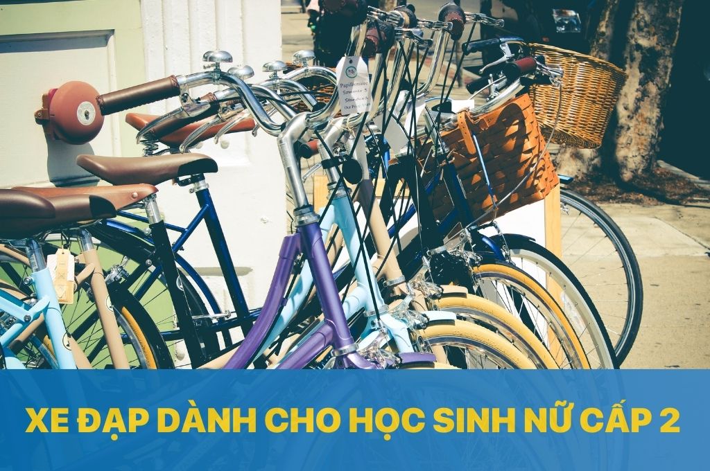 Xe Đạp Dành Cho Học Sinh Nữ Cấp 2