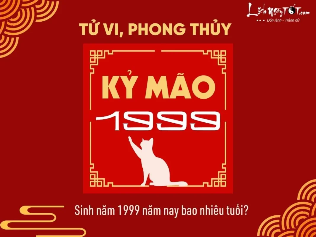1999 Năm Nay Bao Nhiêu Tuổi? Khám Phá Vận Mệnh Người Tuổi Kỷ Mão Chi Tiết