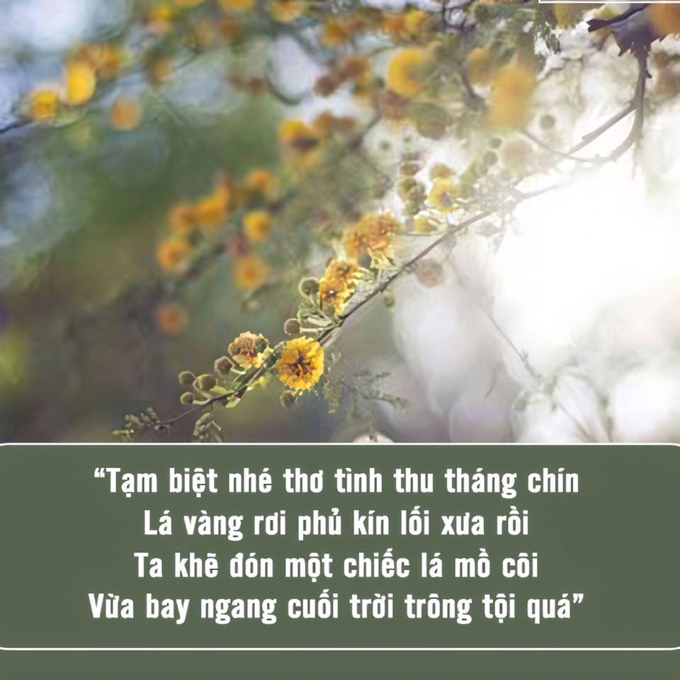 stt hinh anh tam biet buon 960px 960px avatarr 3
