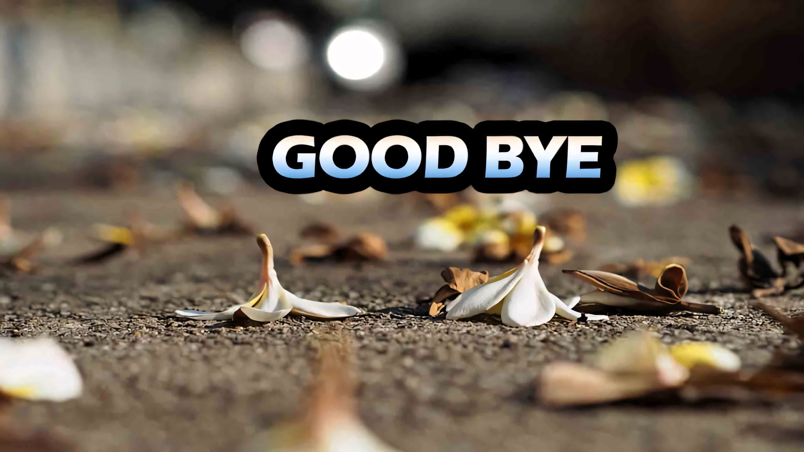 ngay cuoi nam hinh anh tam biet buon 2560px 1440px 2kk 4