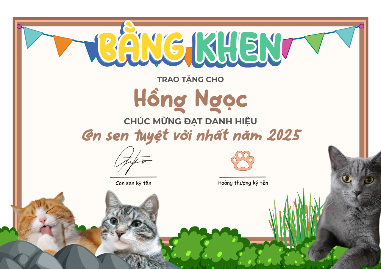 99+ Mẫu Giấy chứng nhận tình yêu, Giấy khen hài hước troll bạn bè độc lạ, vui nhộn, Thiết kế Bằng khen online miễn phí