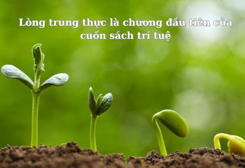 ca dao tục ngữ về trung thực