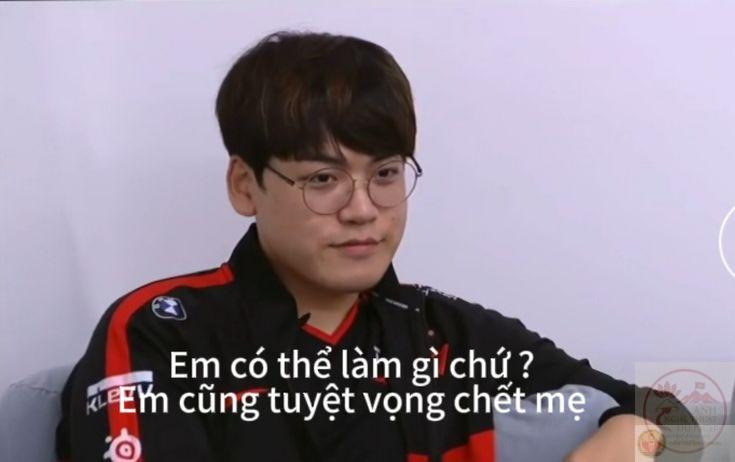 meme em có thể làm gì chứ