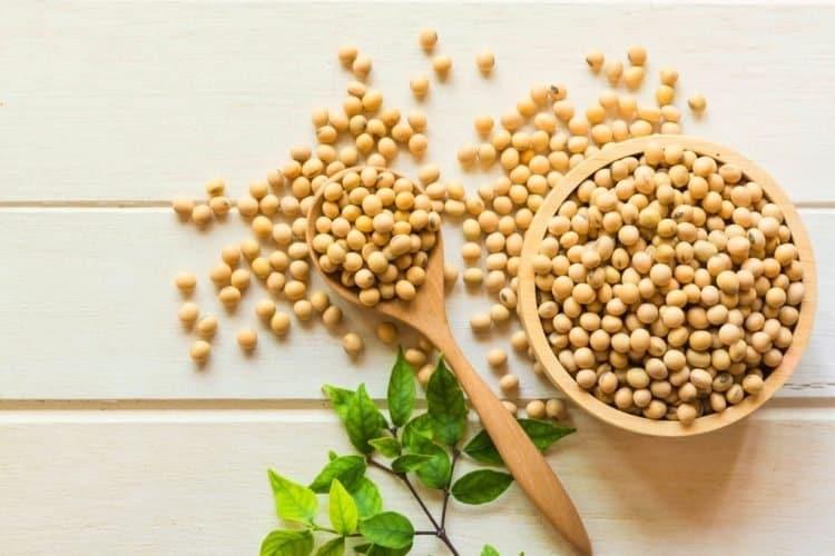 Cách để ngực to ở tuổi dậy thì: bổ sung đậu nành vào thực đơn