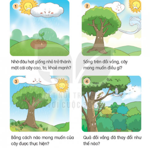 Soạn bài Tiếng chổi tre (trang 54)                               Tiếng Việt lớp 2 Kết nối tri thức Tập 2 - Tuần 25