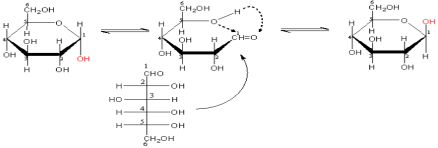 Glucozo dạng mạch vòng 
