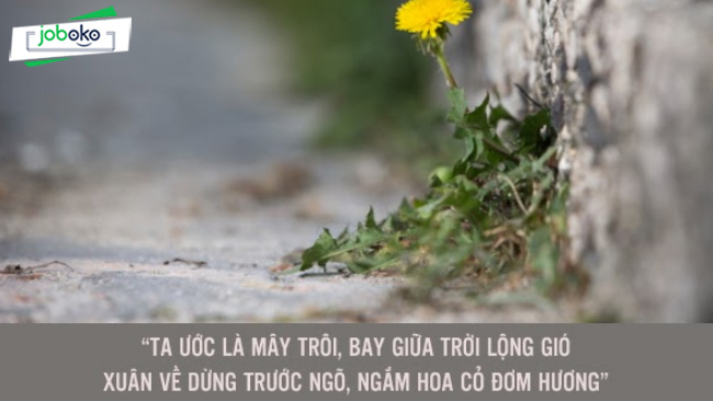 Tho ve uoc mo hoai bao