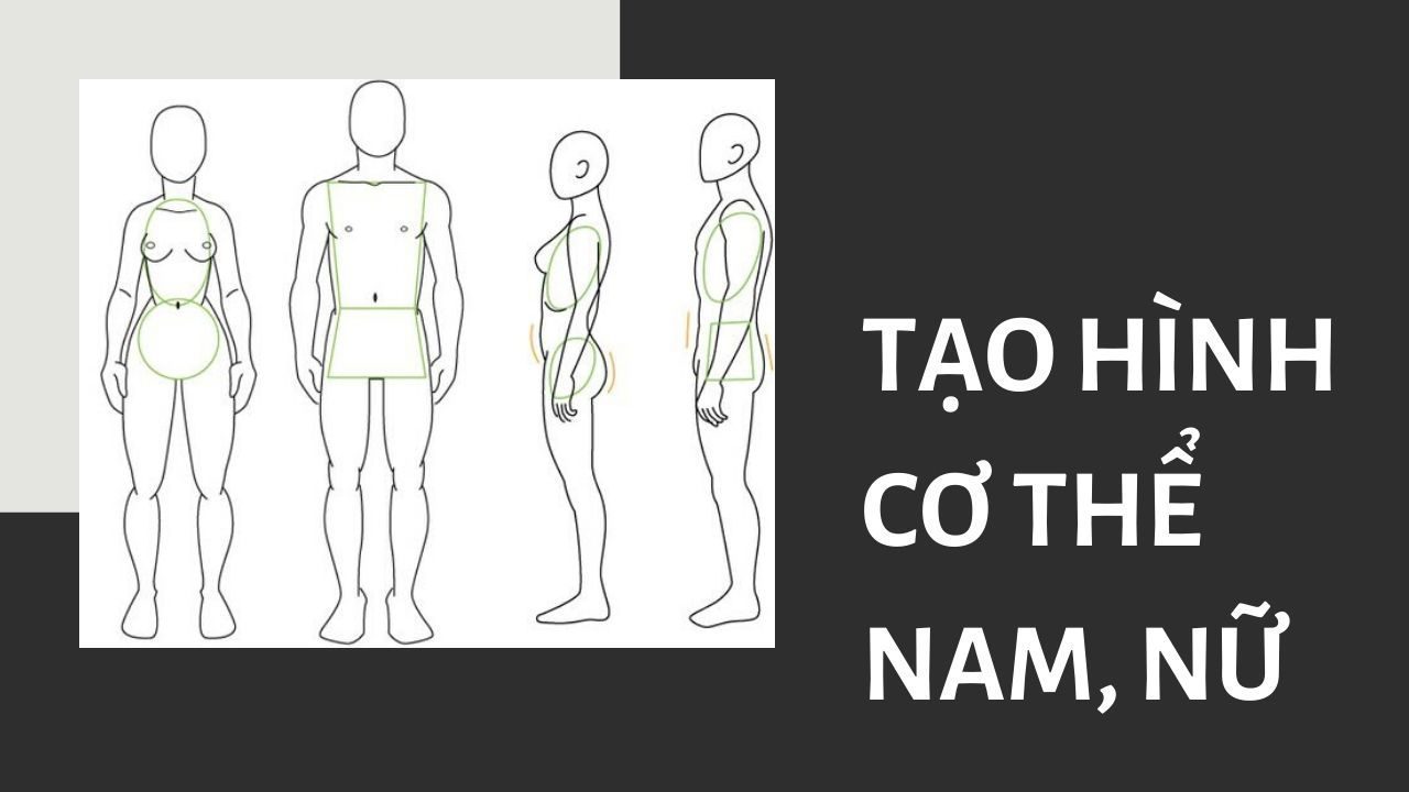 Tạo hình cơ thể nam nữ