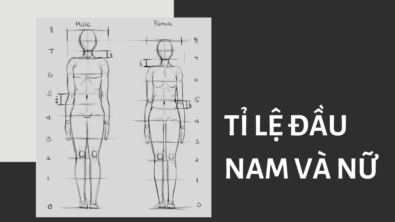CÁCH VẼ ANIME ĐƠN GIẢN CHO NGƯỜI MỚI BẮT ĐẦU
