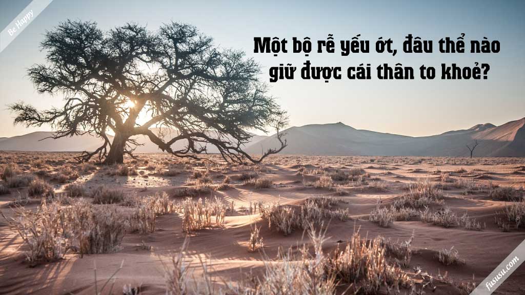 Truyện ngụ ngôn hay về cái cây và rễ của nó...
