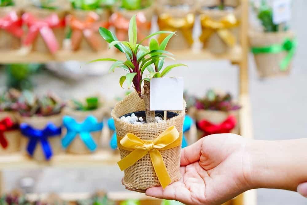 quà Noel cho bé