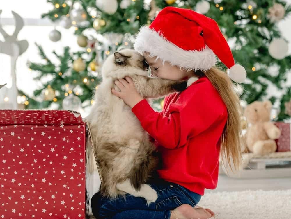 quà Noel cho bé