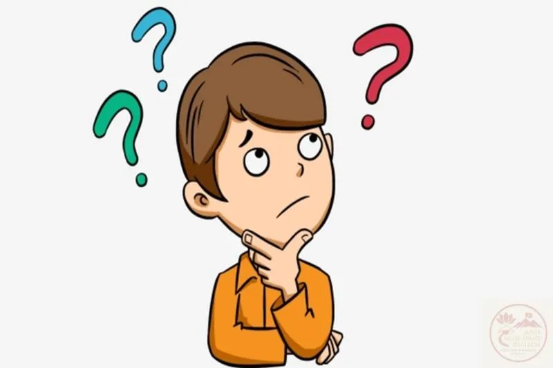 meme câu hỏi Meme câu hỏi bức hình phản ứng nhanh gọn