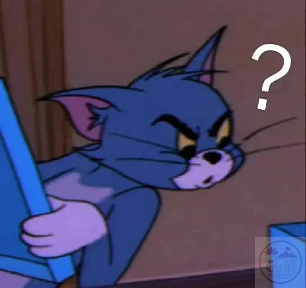 meme ủa gì vậy Tom ảnh chế ủa gì vậy hình ảnh cực Việt hóa