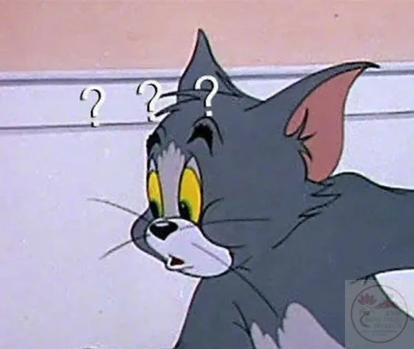 meme bất ngờ Ảnh Tom chấm hỏi ngơ ngác khó đỡ