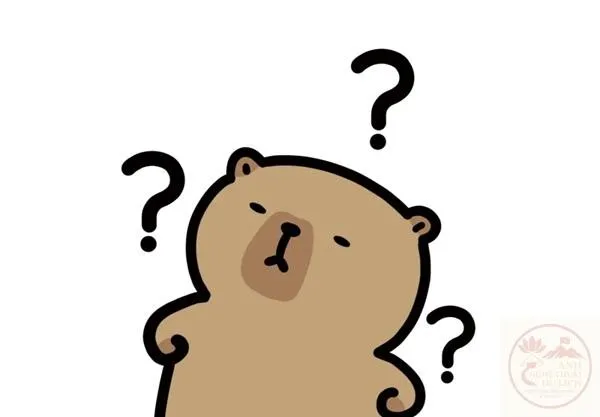 meme mèo thắc mắc Biểu cảm gấu nâu ngơ ngác với dấu hỏi bay quanh