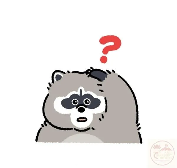 Meme chấm hỏi khó đỡ Ảnh chấm hỏi gấu con làm dậy sóng cộng đồng
