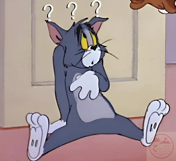 Meme câu hỏi thú vị Tom và biểu cảm không hiểu chuyện gì