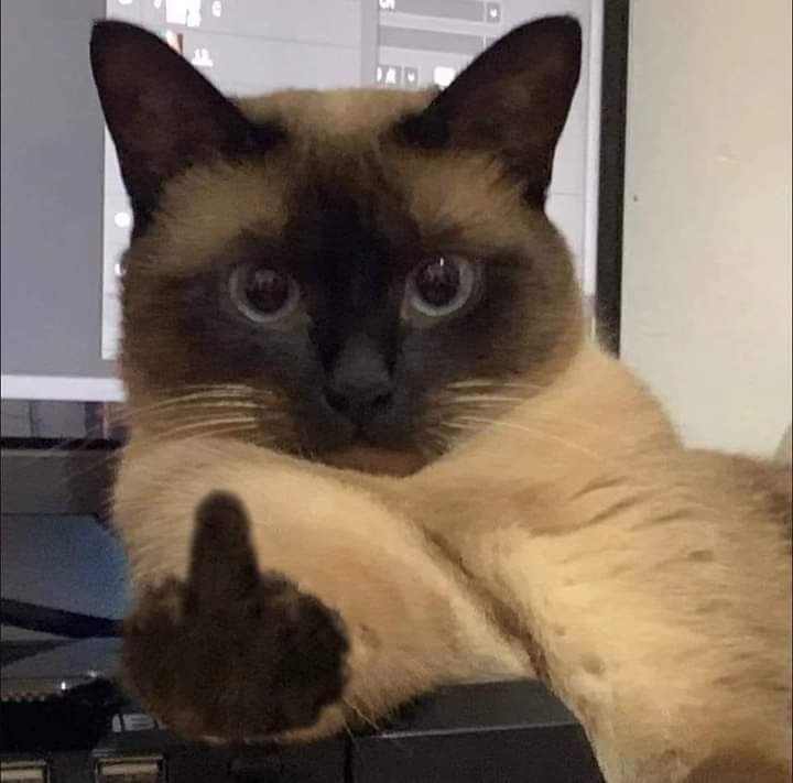 Fuck you meme