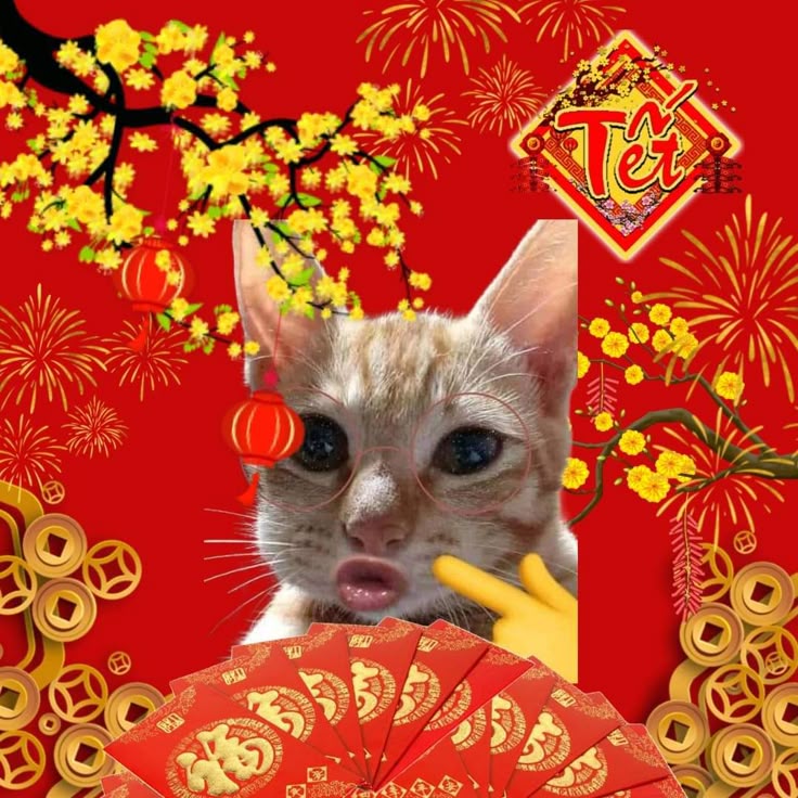 Meme Tết sáng tạo giúp mọi người có phút giây thư giãn trọn vẹn