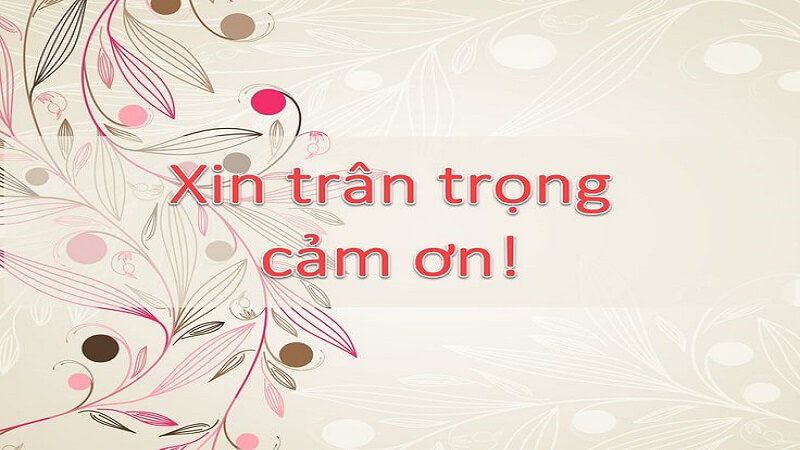 Hình nền Powerpoint cảm ơn trân trọng