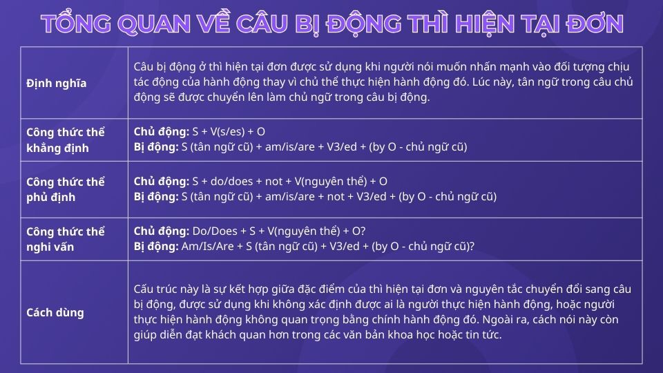 100 bài tập câu bị động thì hiện tại đơn từ đơn giản đến phức tạp