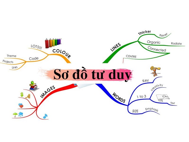 Cách tạo sơ đồ tư duy, phương thức ghi nhớ sáng tạo hiệu quả