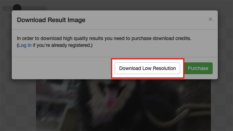 Chọn Download Low Resolution để tải ảnh về máy