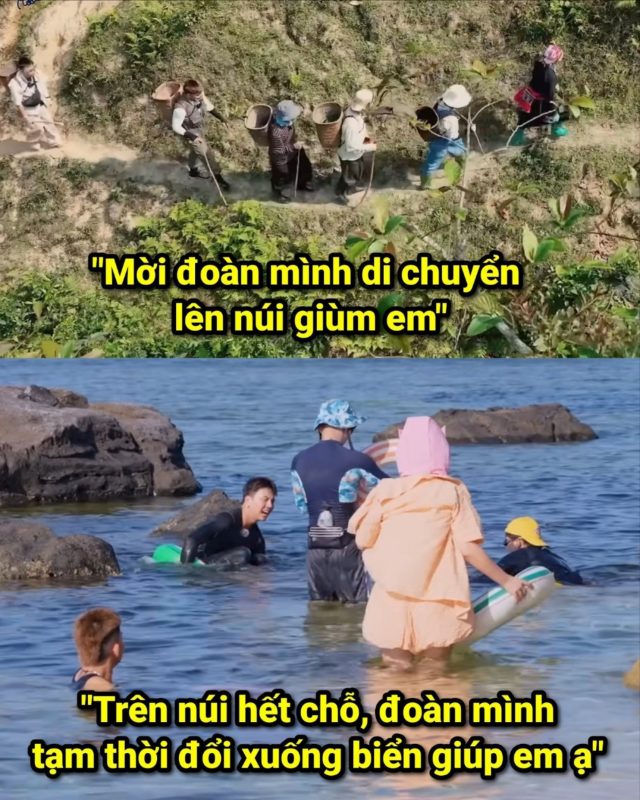 Giải mã câu nói 'hot trend' nhất hè này: Mời đoàn mình di chuyển lên núi giúp em