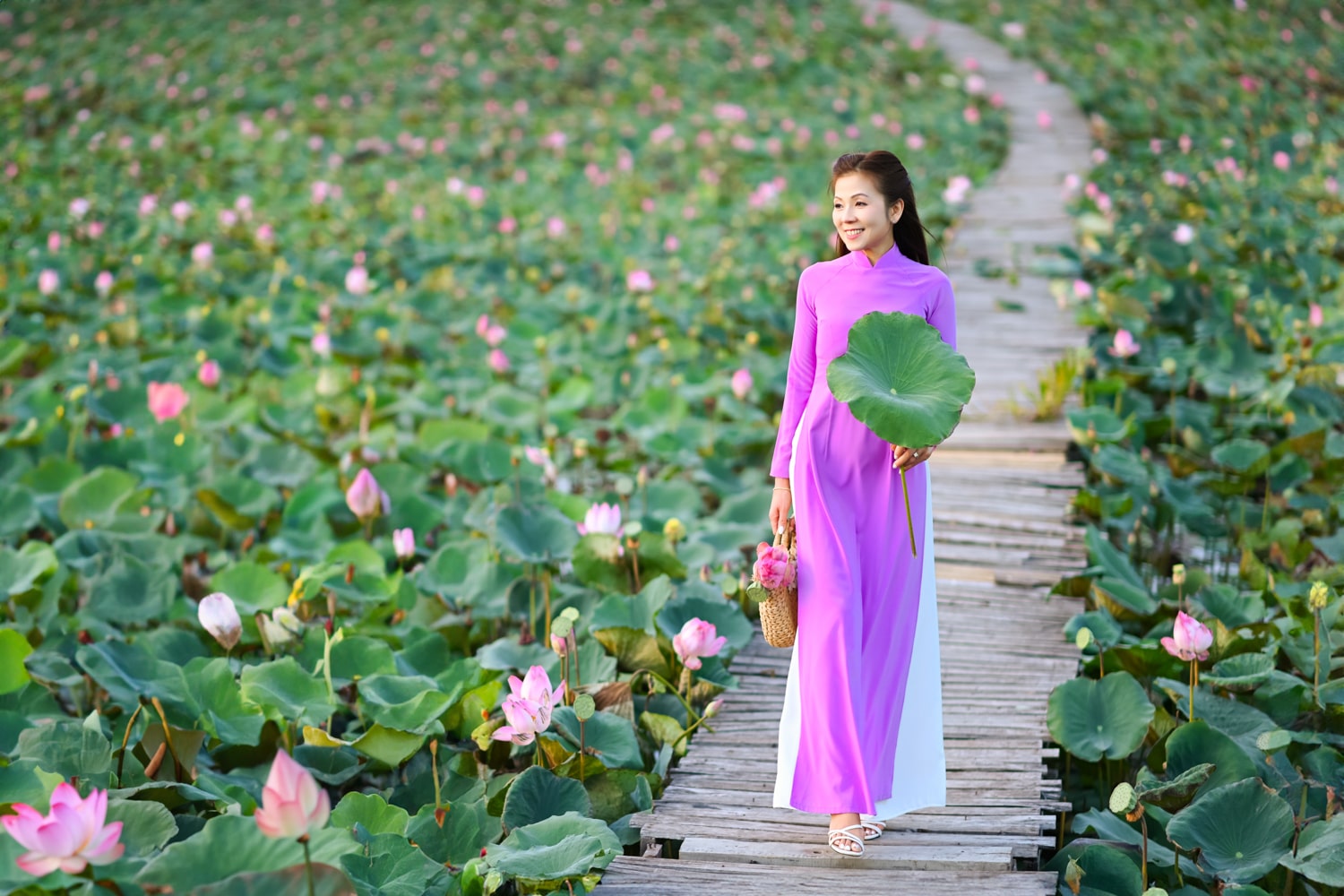 Anh Hoa sen dep 4
