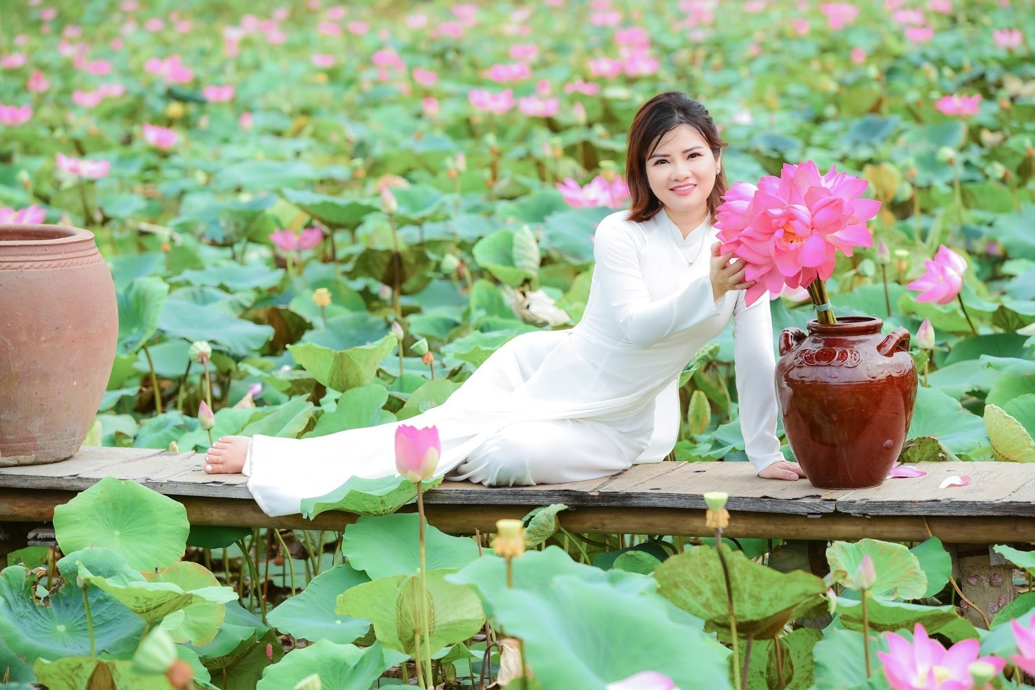 Hoa sen 2023 4 min